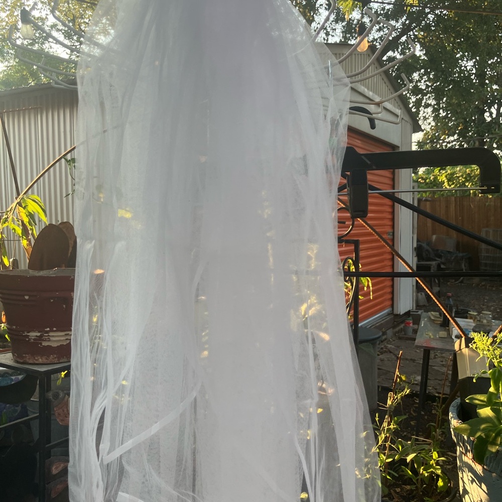 Elegant White Tulle Veil